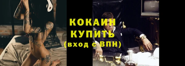 прущие грибы Нея