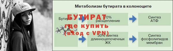 мдпв Гусев