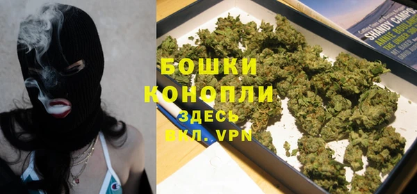 прущие грибы Нея
