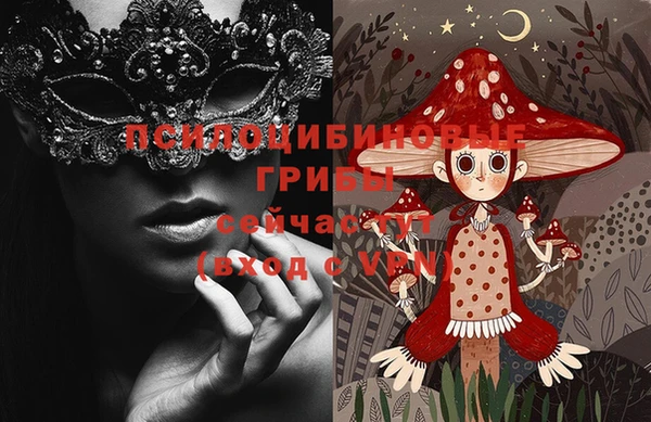 прущая мука Новодвинск