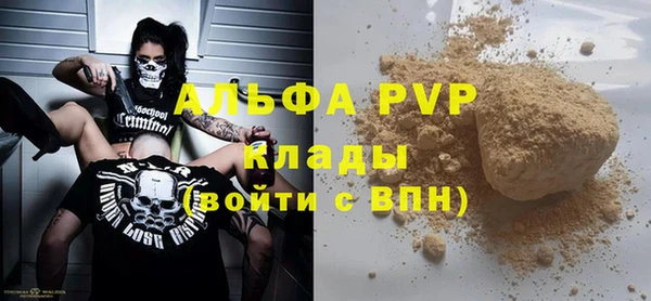 прущие грибы Нея