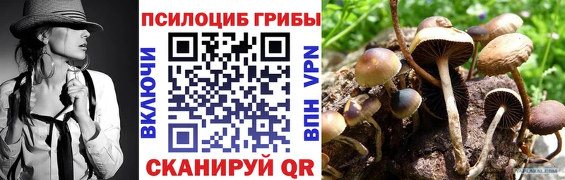 Псилоцибиновые грибы мухоморы  где найти   Пучеж 